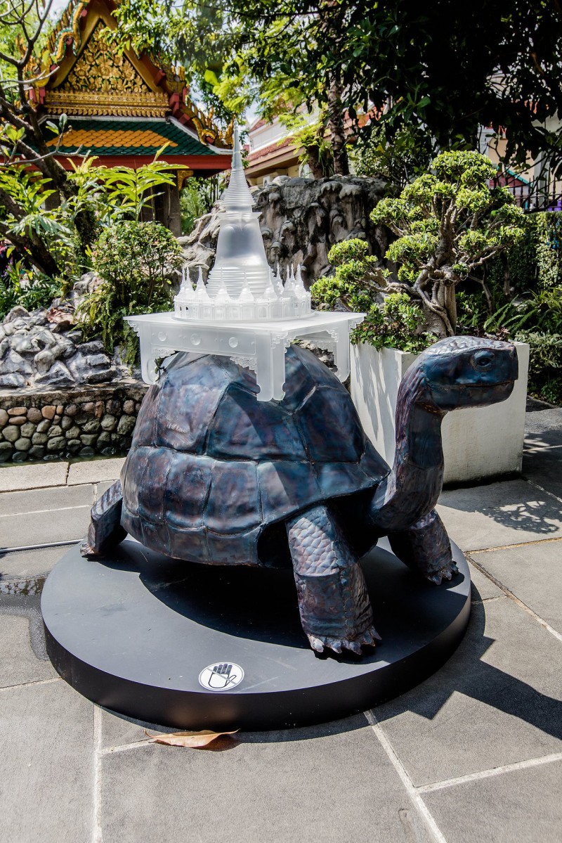 Turtle Religion Turtle Religion