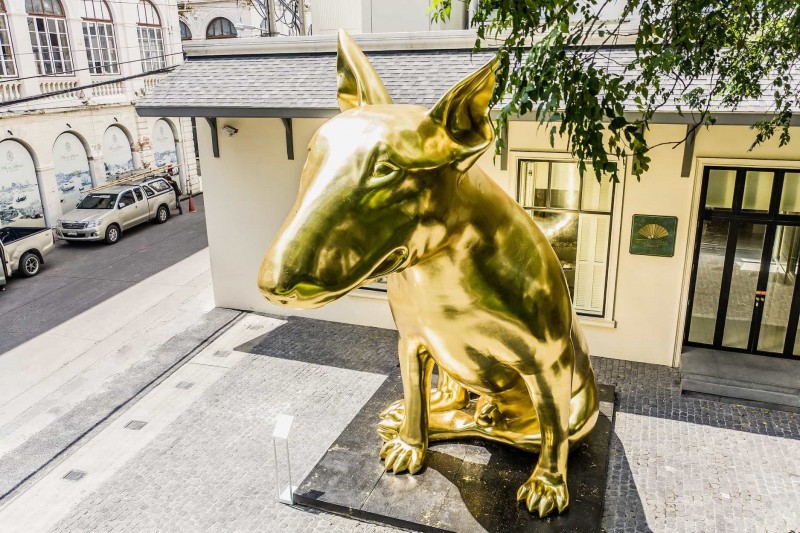 LostDog Ma Long LostDog Ma Long